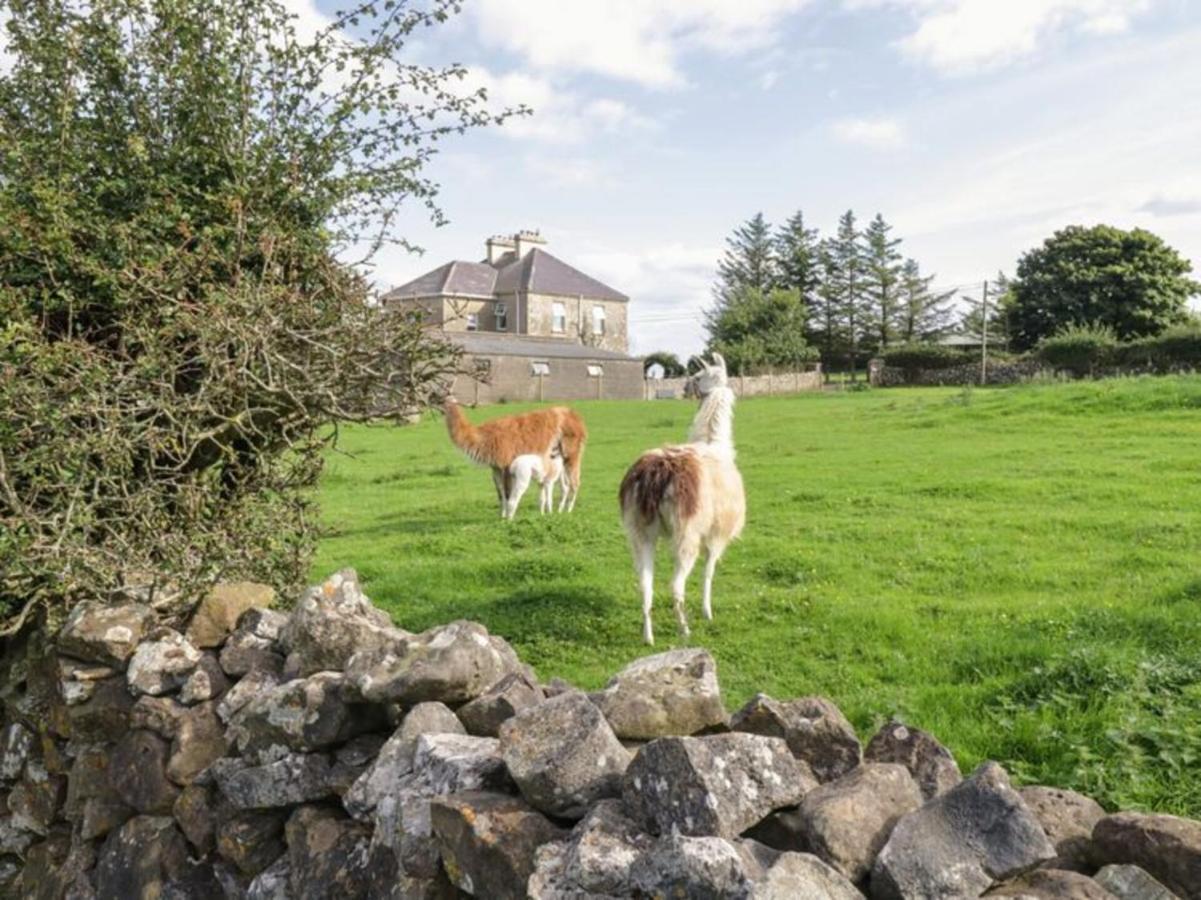 The Lazy Llama Shepherd Hut On Llama Farm Ballyshannon Luaran gambar
