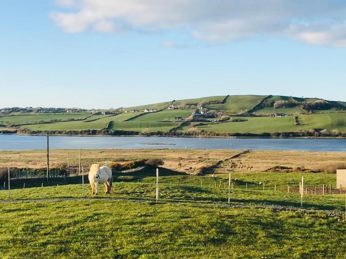 The Lazy Llama Shepherd Hut On Llama Farm Ballyshannon Luaran gambar