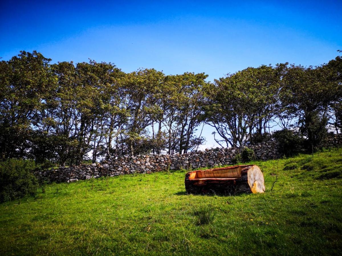 The Lazy Llama Shepherd Hut On Llama Farm Ballyshannon Luaran gambar