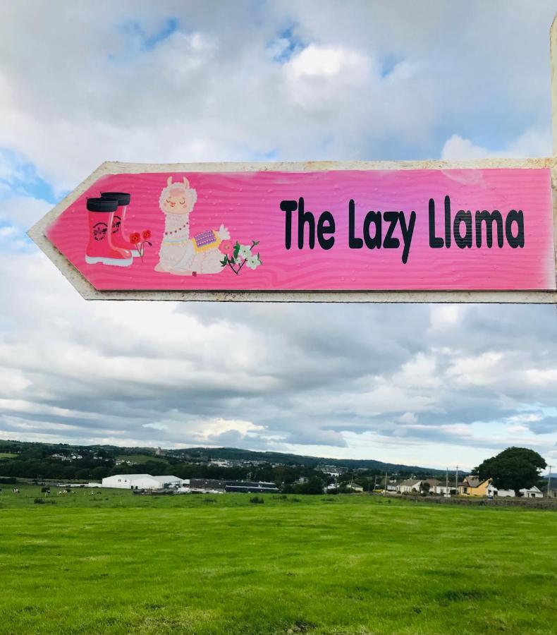 The Lazy Llama Shepherd Hut On Llama Farm Ballyshannon Luaran gambar