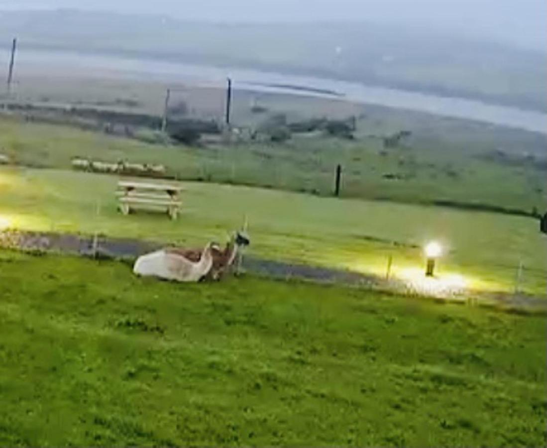 The Lazy Llama Shepherd Hut On Llama Farm Ballyshannon Luaran gambar