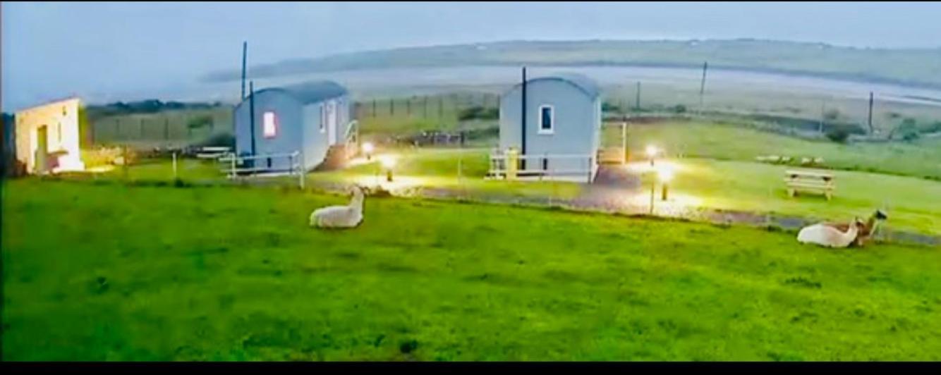 The Lazy Llama Shepherd Hut On Llama Farm Ballyshannon Luaran gambar