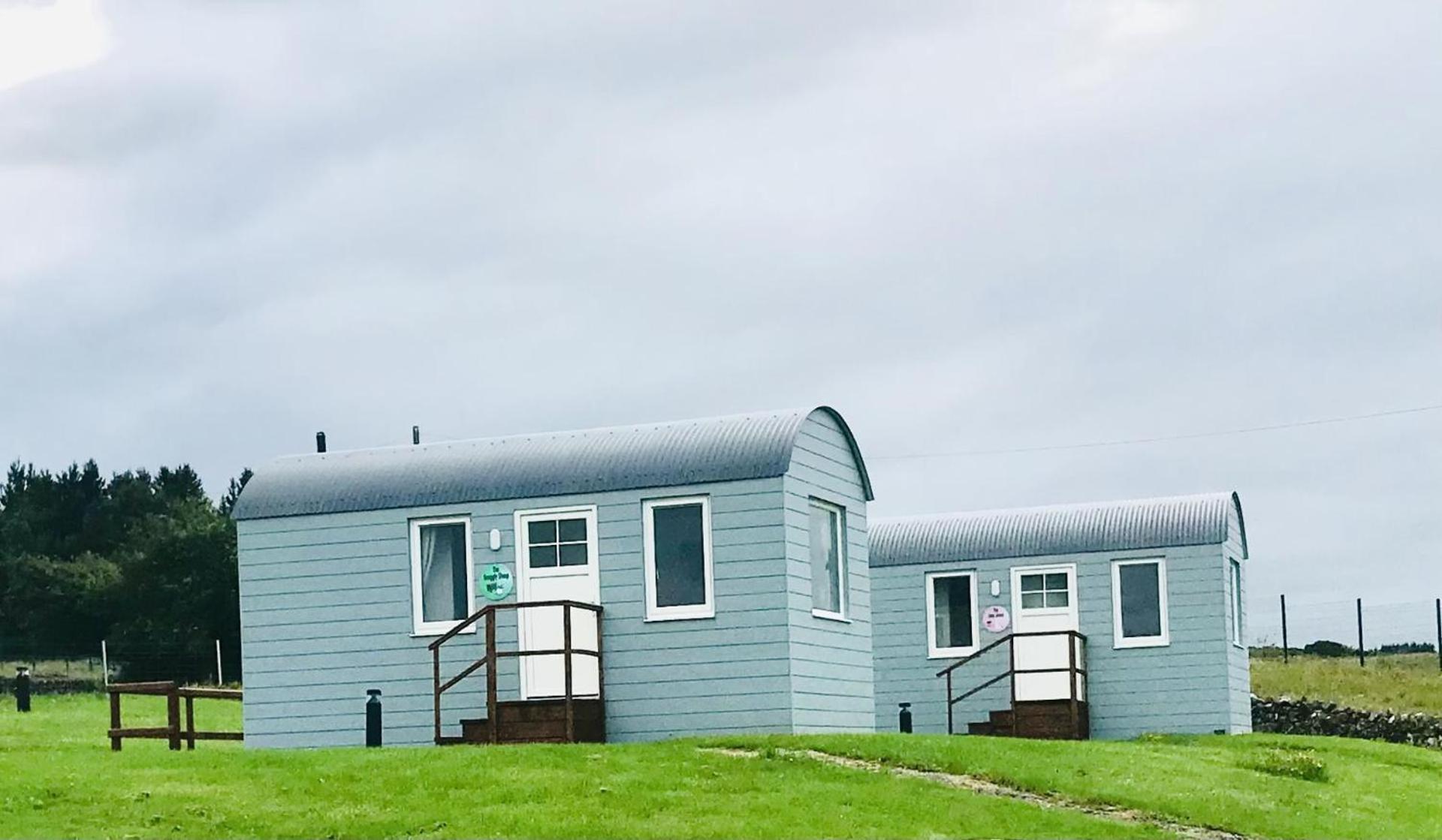 The Lazy Llama Shepherd Hut On Llama Farm Ballyshannon Luaran gambar